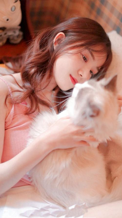 8x8x拔插域名解析功能展示