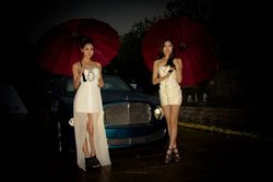 域名批量查询工具